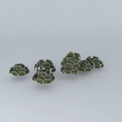 Trees street Andes Free 3D model