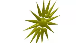 vergina sun Free 3D model