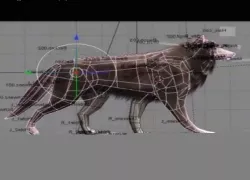 Wolf Rigged Animated and Game Ready Free low-poly  3D model