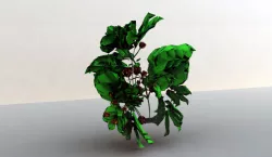 Yummy Plant Free 3D model