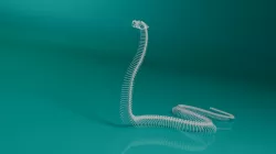  3d model snake skeleton Low-poly  3D model
