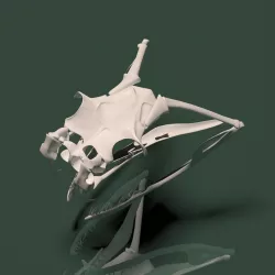 3d model snake skull Low-poly  3D model