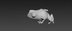 3ds max Frog Free low-poly  3D model