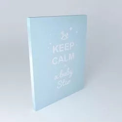Baby blue fabric star houses the world 3D model