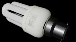 CFL Philips bulb Free 3D model