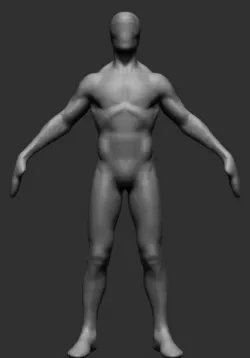 F Anatomy Free 3D model