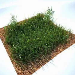 Grass Kit V2 for CInema 4D and Vray Free 3D model