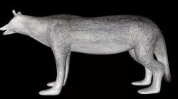 Gray Wolf Free 3D model
