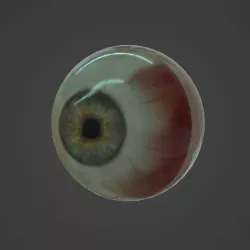 Human eye Free low-poly  3D model