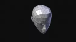 human head Free low-poly  3D model