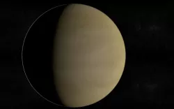 Modelo 3D de Venus Free 3D model