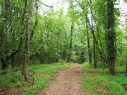 Mount Airy Nature Reference Pack Free 3D model