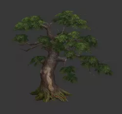 Pine Tree model Free low-poly  3D model