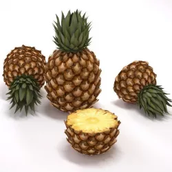 Pineapple Free 3D model