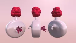 Plumbus Free 3D model