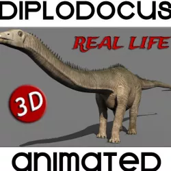 Real Life Diplodocus Dinosaur - Animated 3d model 3D model