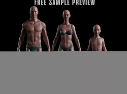 Realistic Human Basemesh - Free Sample Preview - all models Free low-poly  3D model