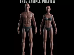 Realistic Human Basemesh - Male and Female - Free Sample Preview Free low-poly  3D model