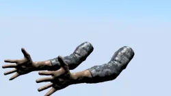 Rigged Arms Free 3D model