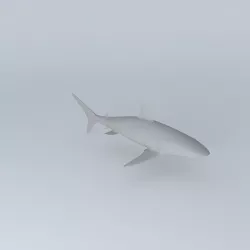 Shark 3D model