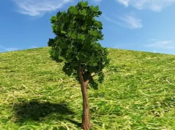 Tree Free 3D model