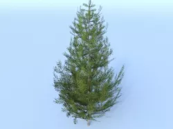 Tree pine low-poly 3D model Free low-poly  3D model