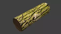 tree trunk Free 3D model