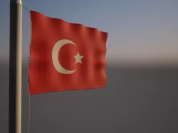 Turkey Flag Free 3D model