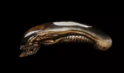 Xenomorph Head Free 3D model
