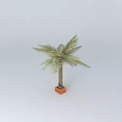3D palm palm tree 3D model
