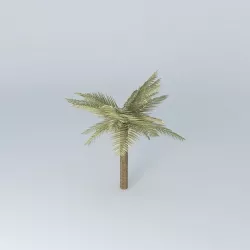 3D tree palm tree 3D model