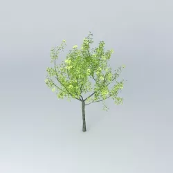 3D tree tree 3D 3D model