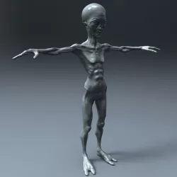 Alien Humanoid  3D model