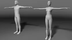 Base human meshes regular body type pack Low-poly  3D model