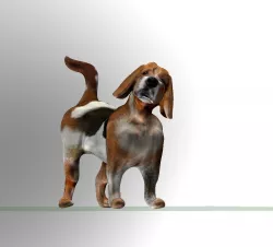 Beagle - dog  Low-poly  3D model