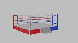 Boxing Ring 3D model