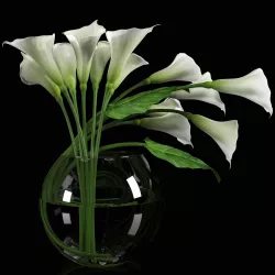 Calla Lily 1 3D model