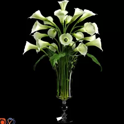 Calla Lily 2 3D model
