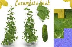 Cucumbers bush 3D model