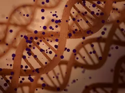 DNA string 3D model
