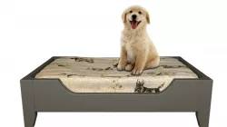 Dog Bed 3D model