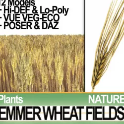 Emmer Wheat Fields Poser DAZ VFX Animation 3D model
