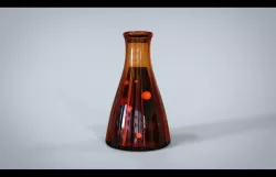 Erlenmeyer Flask 3D model