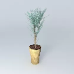 Eucalyptus Parvifolia stabilized plant green plants 3D model