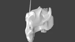 evil money  Low-poly  3D model