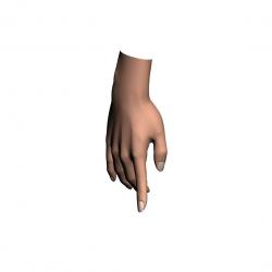 Realistic Female Arm 3D Model $99 - .unknown .max .ma .ztl .fbx