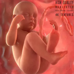 Fetus 3D model
