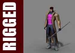 Gambit Rig 3D model