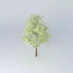 Green Tree 3D model