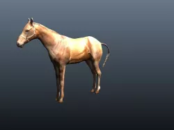 horse 3D model